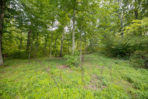 Betsy Bruce Lane 0335