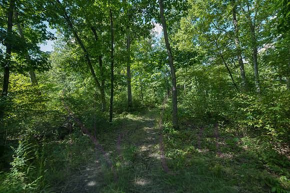 Betsy Bruce Lane 0330
