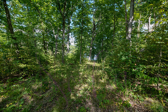 Betsy Bruce Lane 0329