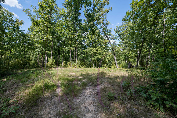 Betsy Bruce Lane 0328