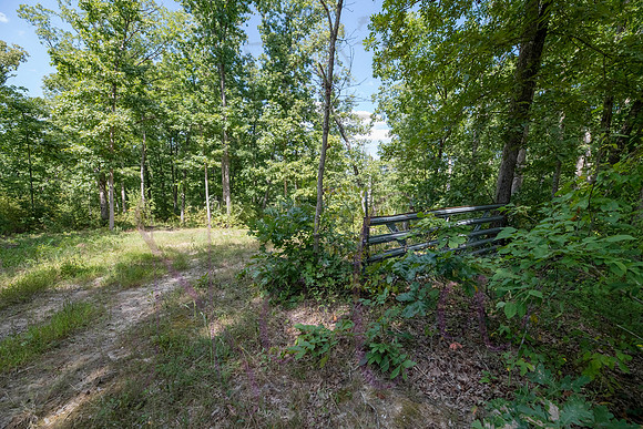 Betsy Bruce Lane 0327