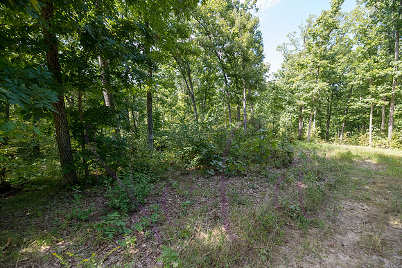 Betsy Bruce Lane 0326