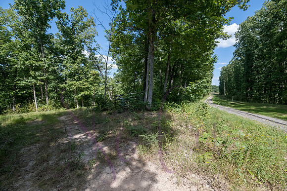 Betsy Bruce Lane 0325