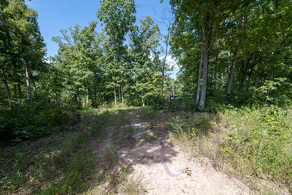 Betsy Bruce Lane 0324
