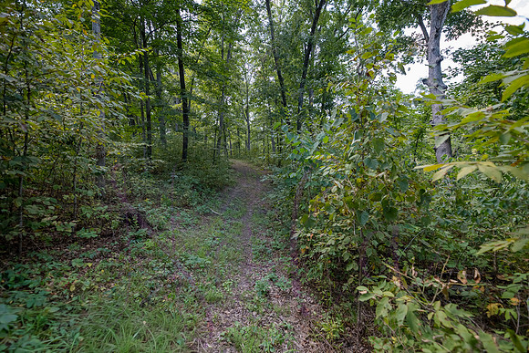 Betsy Bruce Lane 0323