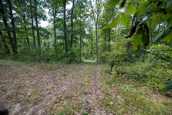 Betsy Bruce Lane 0322