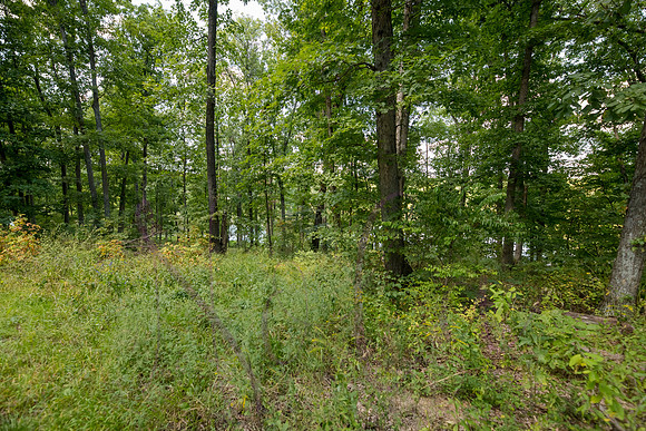 Betsy Bruce Lane 0321