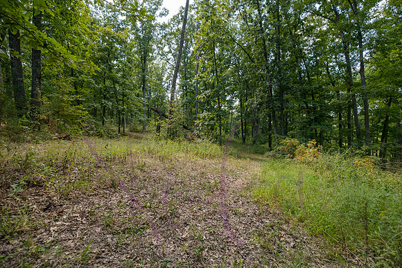 Betsy Bruce Lane 0320