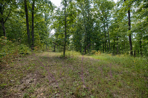 Betsy Bruce Lane 0319