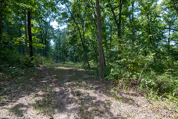 Betsy Bruce Lane 0318