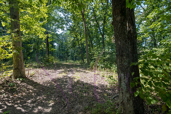 Betsy Bruce Lane 0317