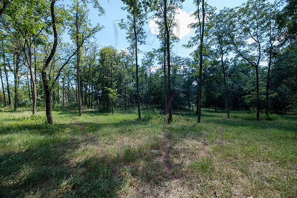 Betsy Bruce Lane 0309