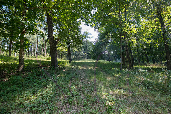 Betsy Bruce Lane 0308