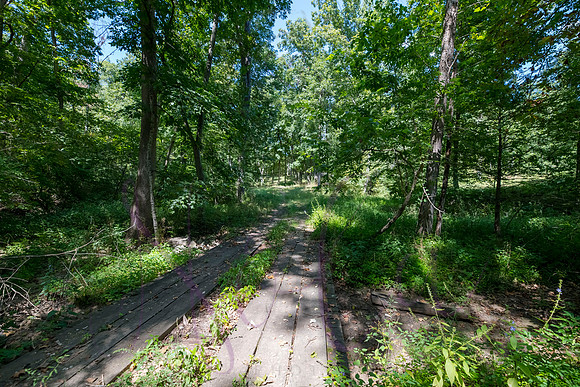Betsy Bruce Lane 0307