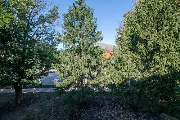 Betsy Saddlebrook 0034