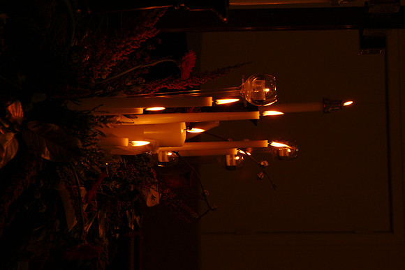 flowers27