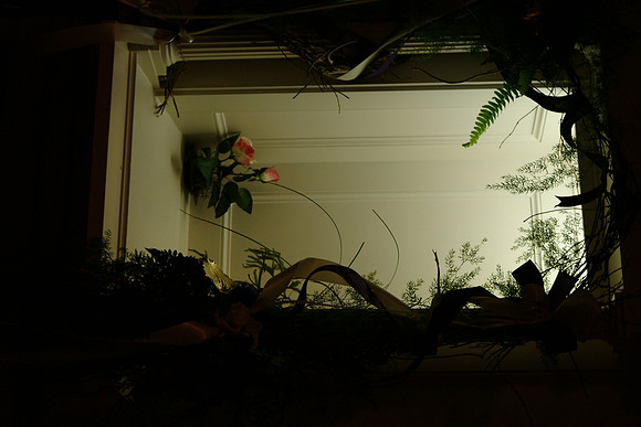 flowers49