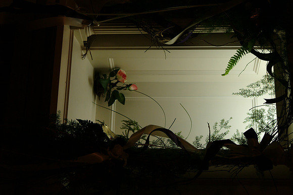 flowers50