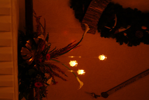 flowers82