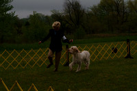 DSCF0008