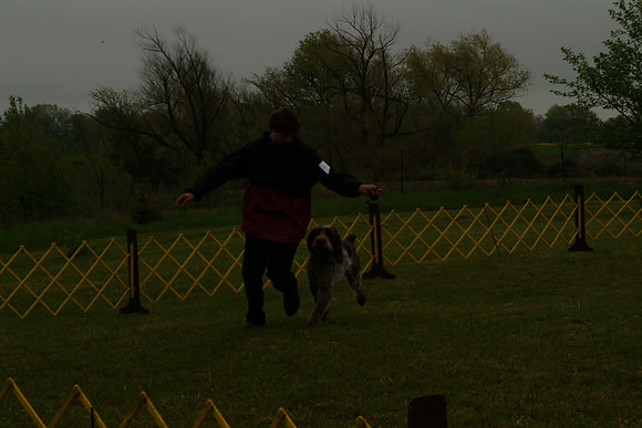 DSCF0018