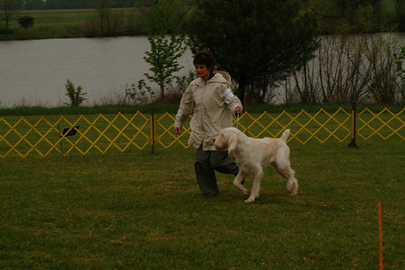 DSCF0047