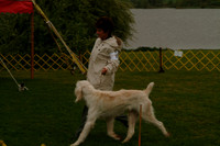 DSCF0049