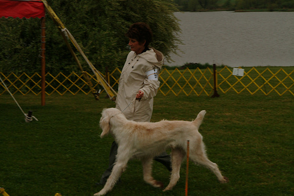 DSCF0049
