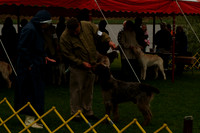 DSCF0056