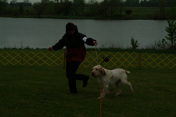 DSCF0077
