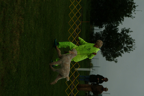 DSCF0088