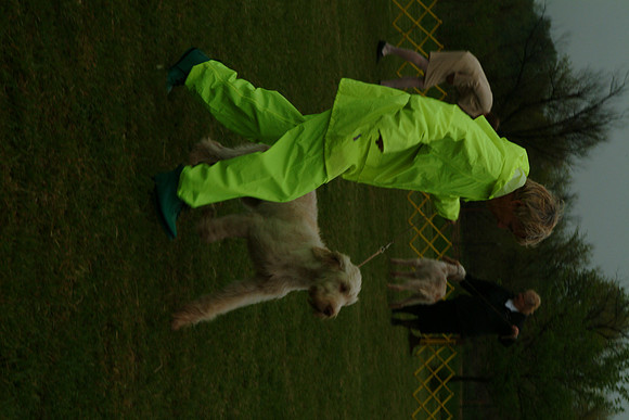DSCF0090