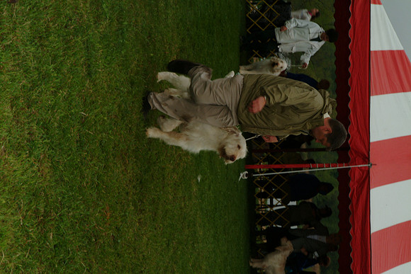 DSCF0098