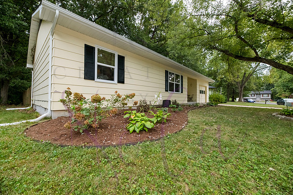 Betsy Brookhaven 0091