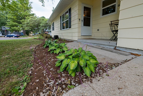 Betsy Brookhaven 0088