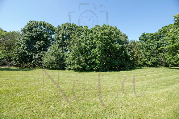 Betsy Shady Hills 2025 0074