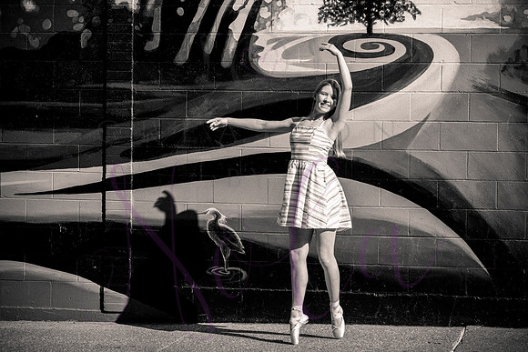 Brooklyn senior pics 0054