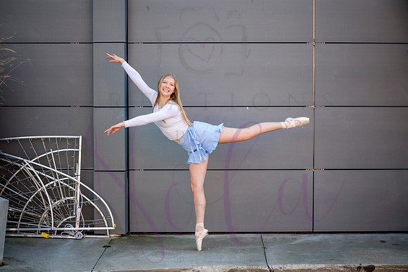 Brooklyn senior pics 0148