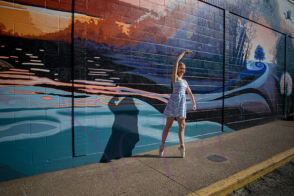 Brooklyn senior pics 0094