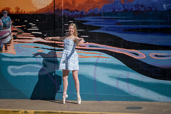 Brooklyn senior pics 0088