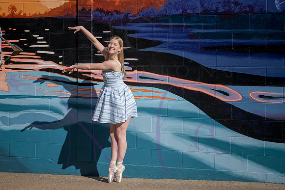 Brooklyn senior pics 0075