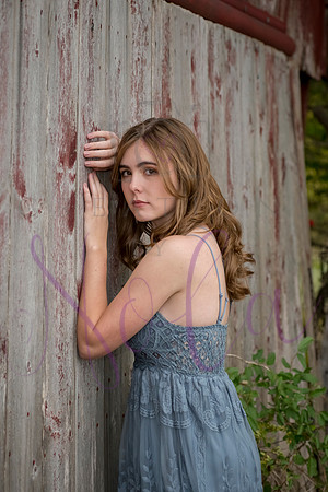 Lily 0165
