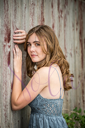 Lily 0166