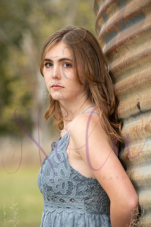 Lily 0180