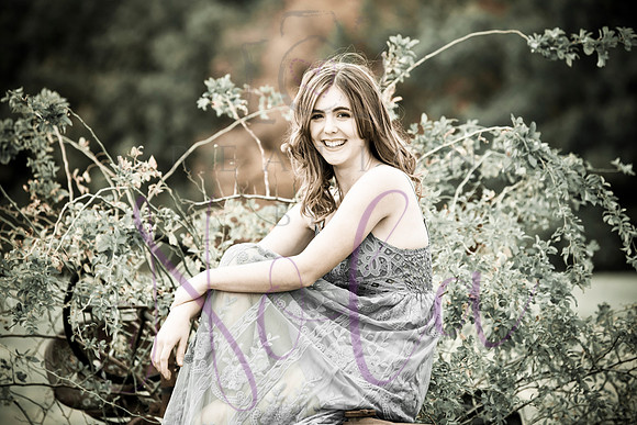 Lily 0201