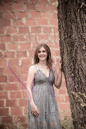 Lily 0233