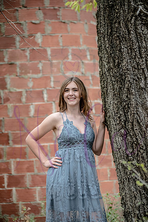 Lily 0234