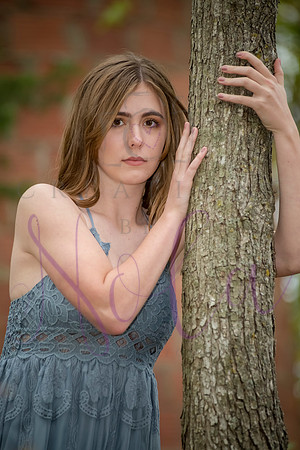 Lily 0244