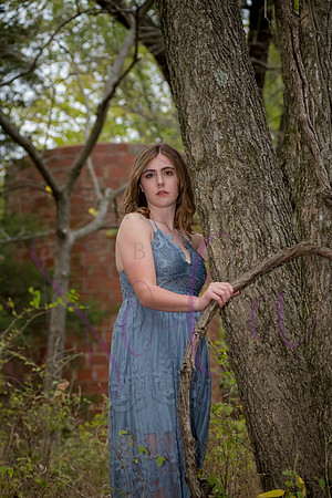 Lily 0247