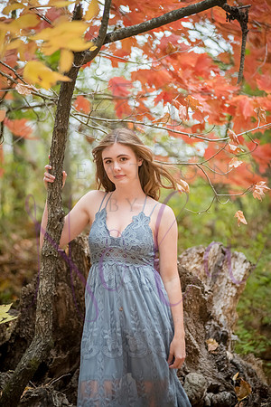 Lily 0278